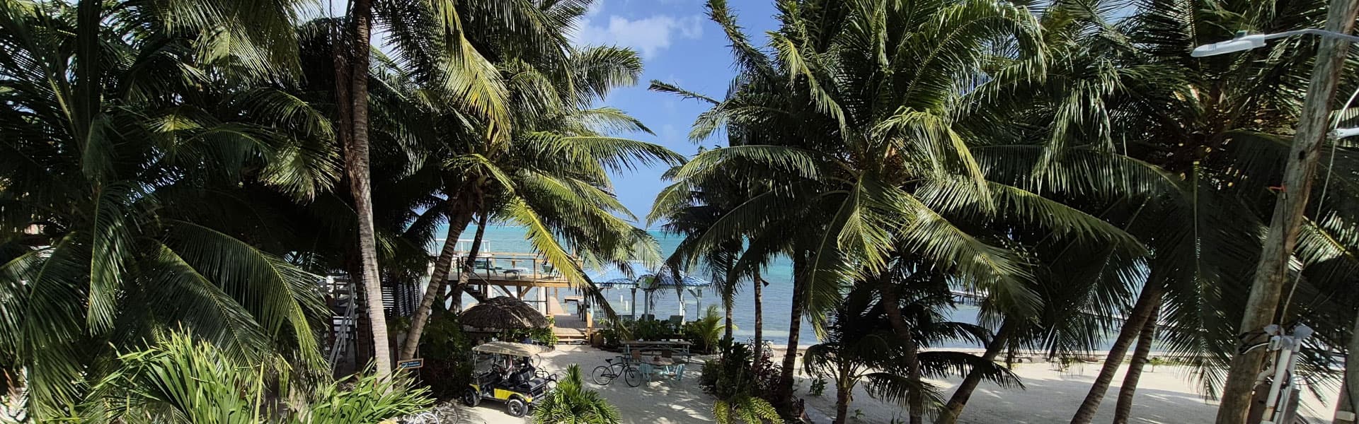 A tropical beach scene framed by palm trees with a clear blue sky and ocean in the background.