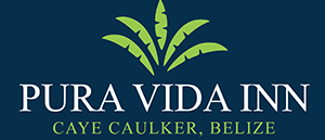 Logo of Pura Vida Inn, located in Caye Caulker, Belize, featuring green palm leaves on a blue background.