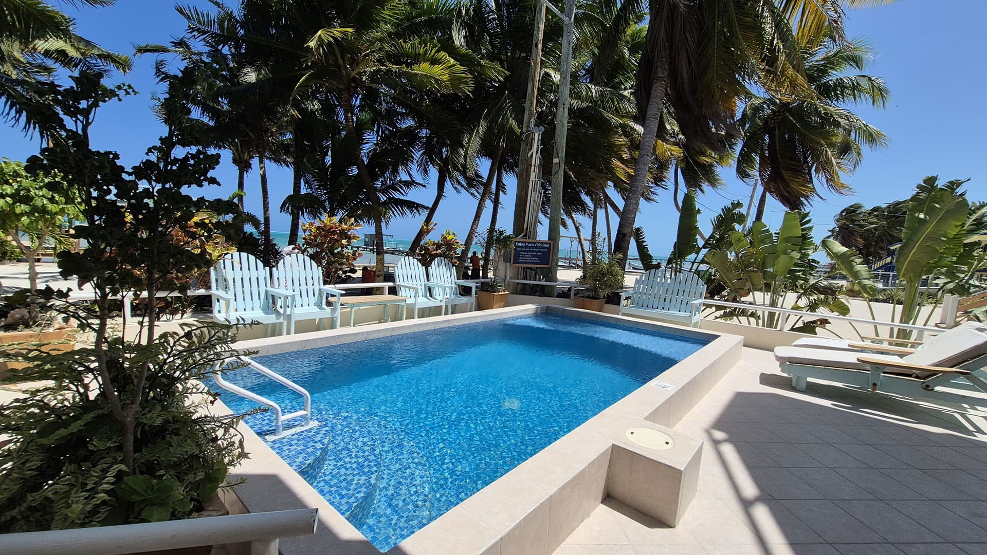 A clear swimming pool surrounded by palm trees and lounge chairs on a sunny day.